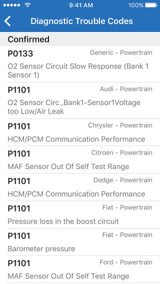 Detailed Diagnostic Trouble Codes view on iPhone